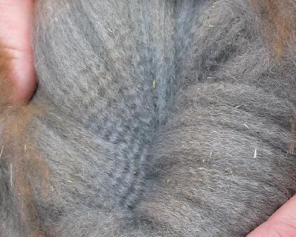 Daunte's Fleece